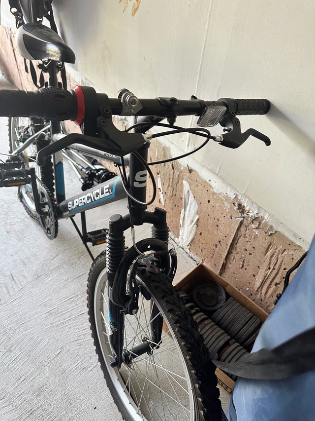 20 inch bicycle for sale - photo 2