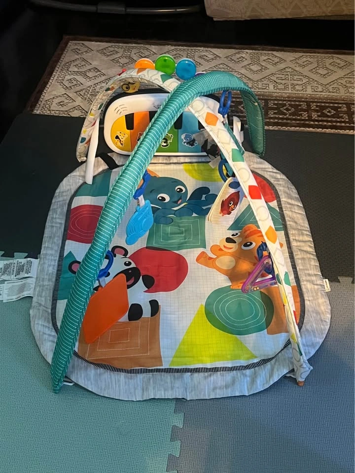 Graco Baby Swing, Fisher-Price Play Gym, and Nursing Pillows - photo 2