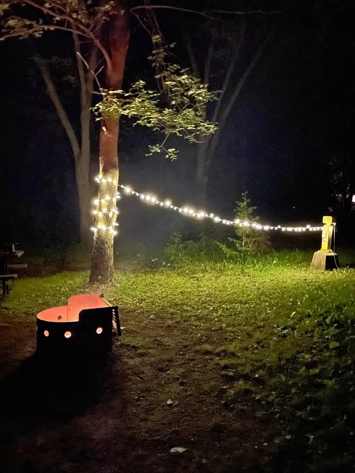 HOMETRENDS 100 LED Globe String Lights