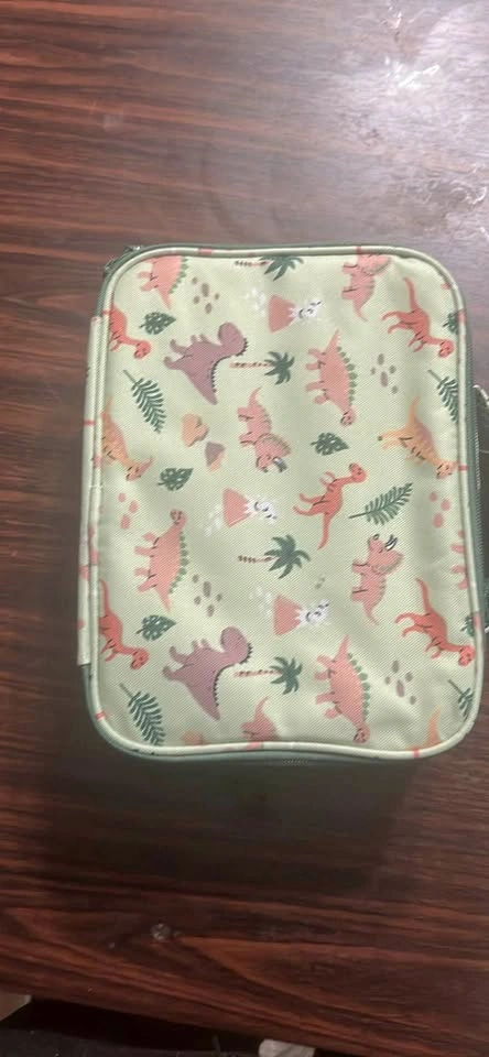 Dinosaur Print Insulated Lunch Bag