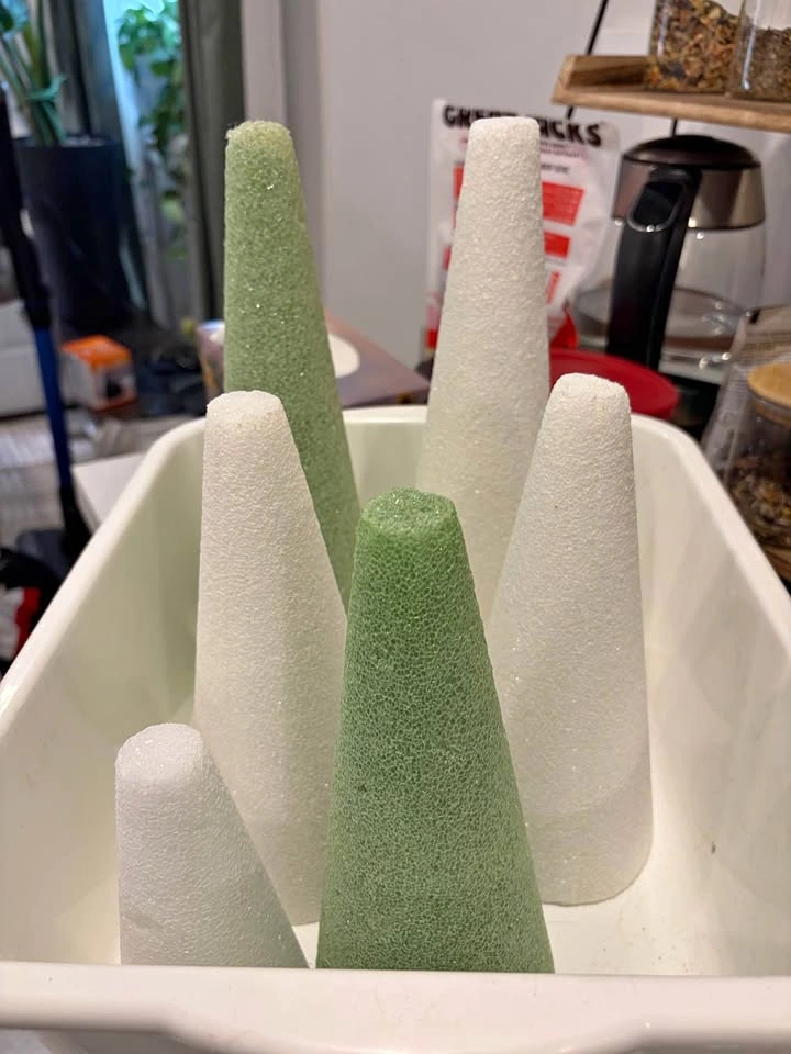 Foam Cones