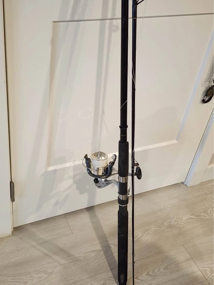 Fishing Rod & Reel Combo – Great Condition! - photo 2