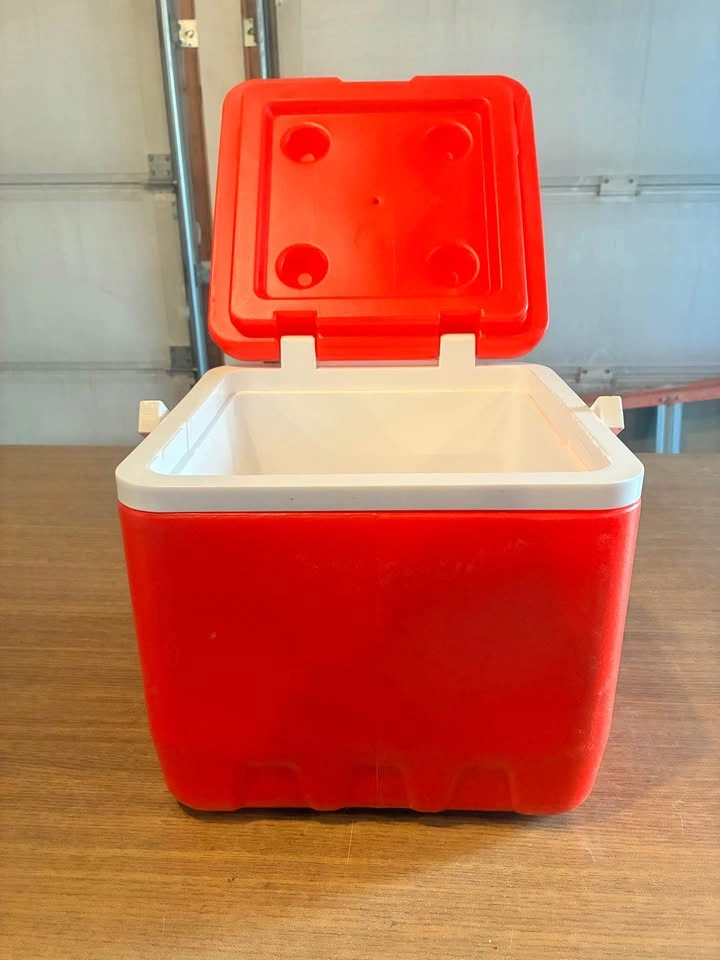 Igloo Red Plastic Cooler - photo 2