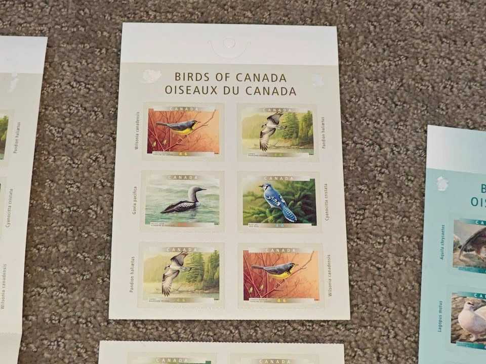 Stamp Booklet Set - Vintage Birds of Canada (2000 & 2001 Series) - photo 4