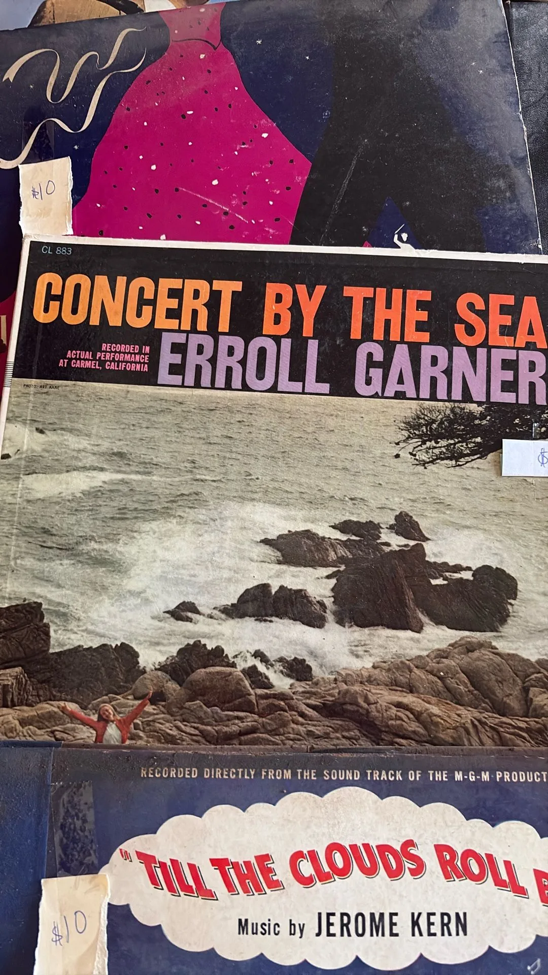 Vintage Vinyl Record Collection image indicator(3)