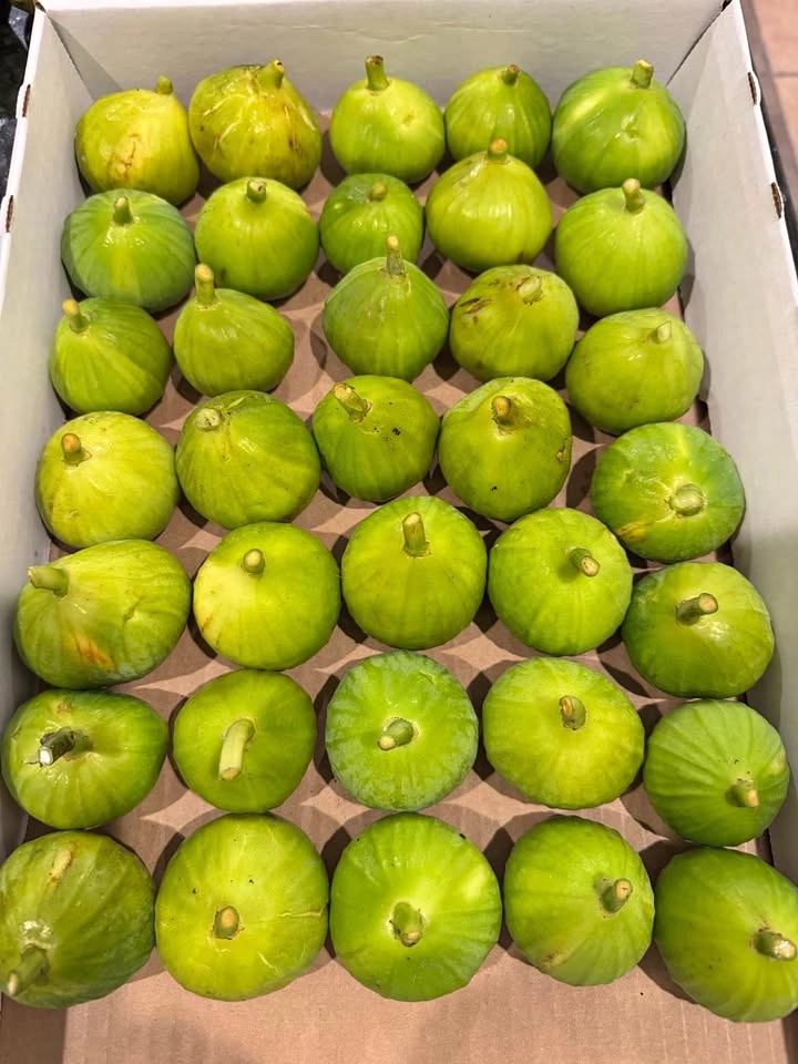35 Fresh & Sweet Honey Figs