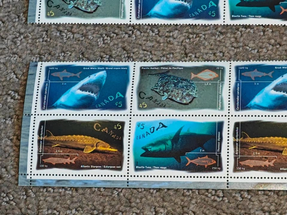Stamps Full Sheet Pane - 1997 Canada Post Ocean Water Fish - photo 5