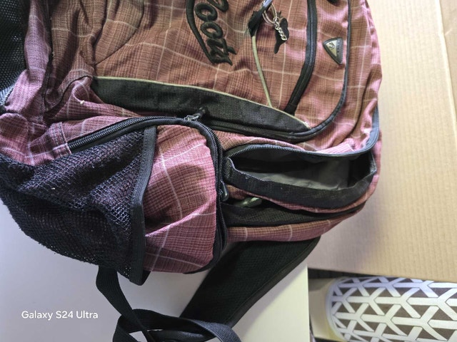 Roots Backpack