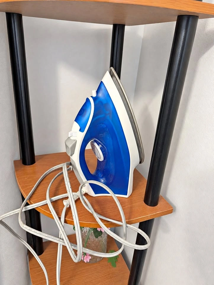 Moving Sale – Blue & White Steam Iron