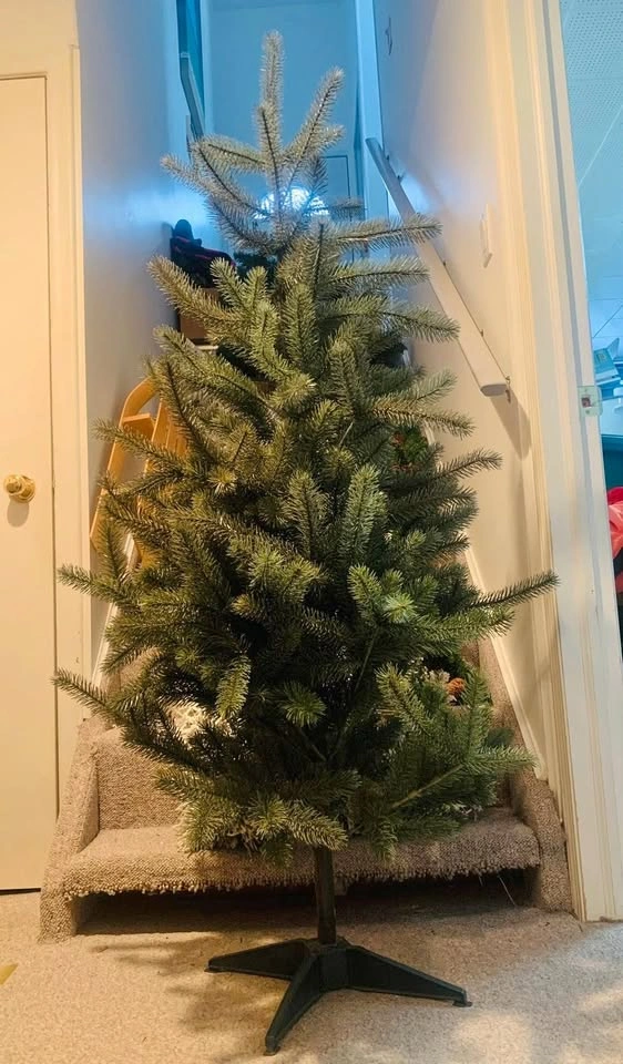 XMAS Trees and Winter Decor