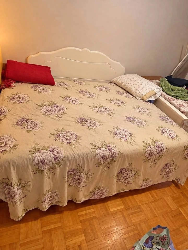 White Wooden Bed Frame (NEED GONE)