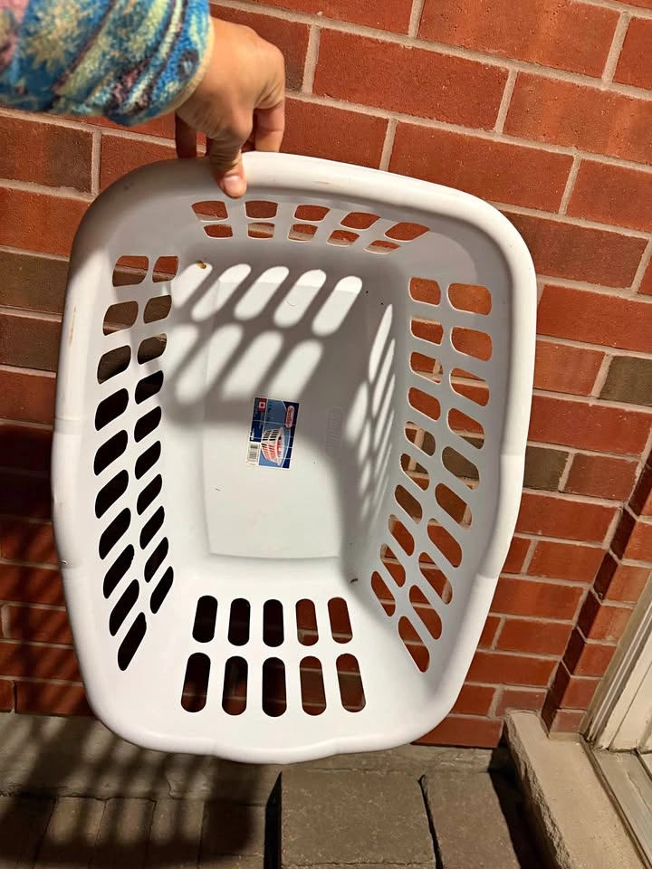 Sterilite Laundry Basket