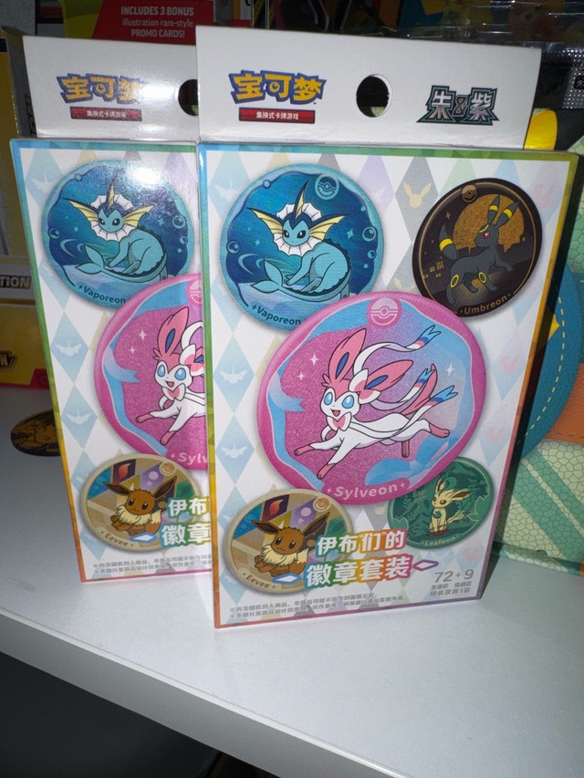 Pokemon TCG Terastal Gathering Pin Set (Chinese Simplified)