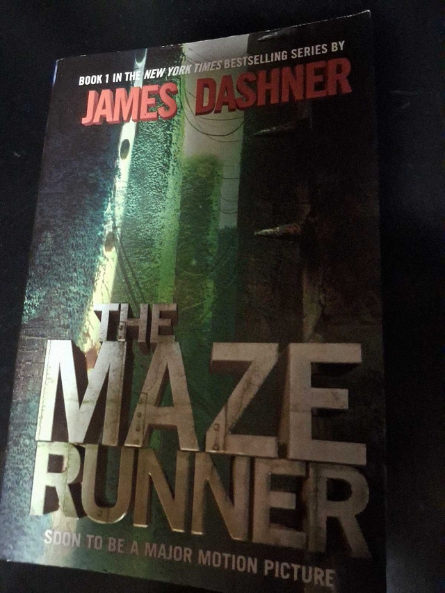 THE MAZE RUNNER