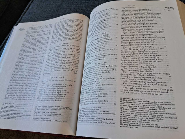 THE RIVERSIDE SHAKESPEARE 2ND EDITION - photo 4