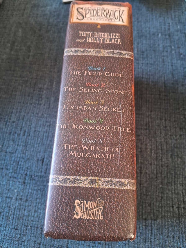 THE SPIDERWICK CHRONICLES: THE COMPLETE FIRST SERIAL - photo 2