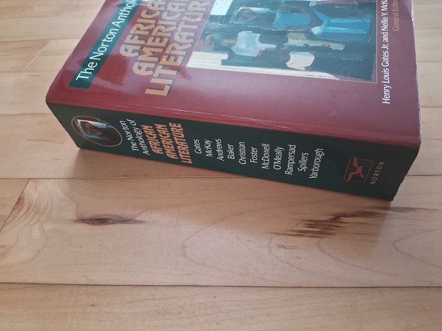 THE NORTON ANTHOLOGY OF AFRICAN AMERICAN LITERATURE - photo 2