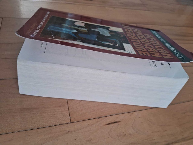 THE NORTON ANTHOLOGY OF AFRICAN AMERICAN LITERATURE - photo 3