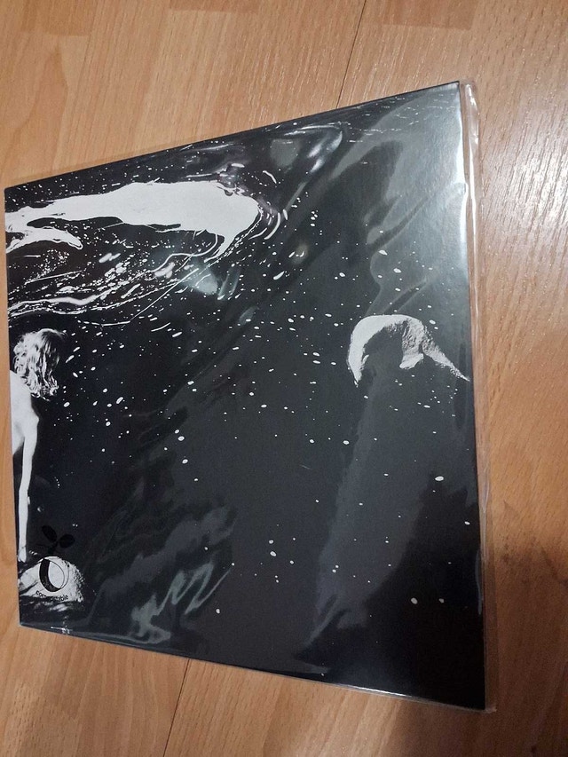 ALICE PHOEBE LOU - SHELTER (NEW VINYL) - photo 2