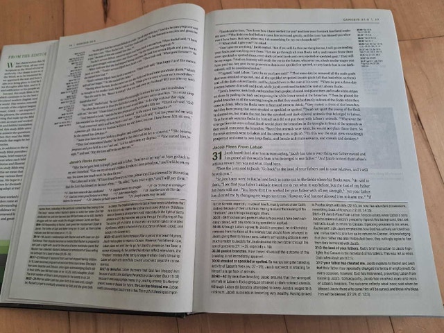 NIV ZONDERVAN STUDY BIBLE (HARDCOVER) - photo 4