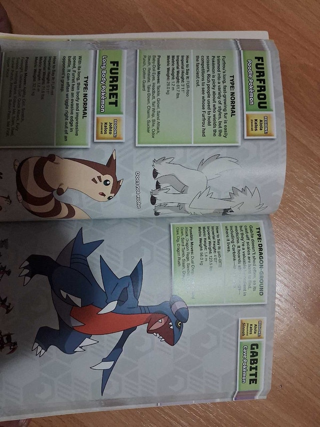 POKEMON - DELUXE ESSENTIAL HANDBOOK - photo 3