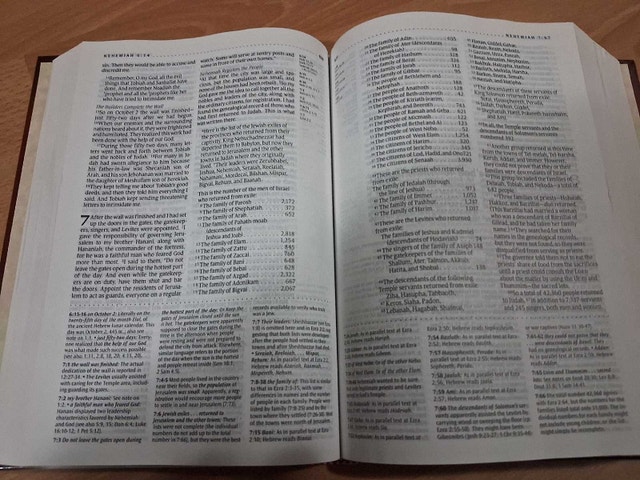 NLT STUDY BIBLE (HARDCOVER) - photo 4