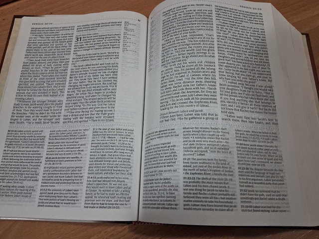 NLT STUDY BIBLE (HARDCOVER) - photo 5