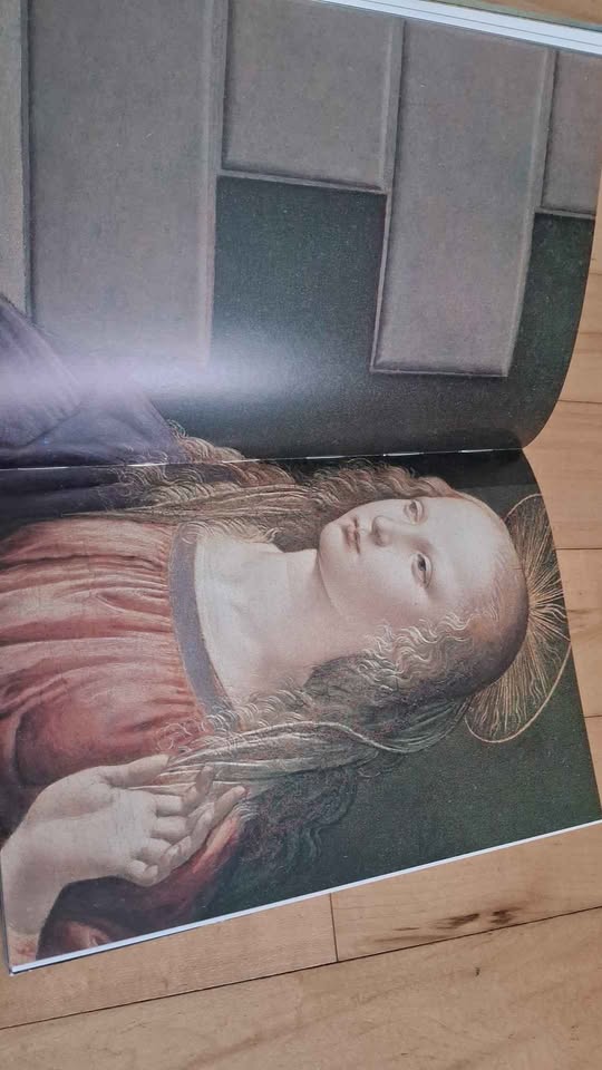 LEONARDO: THE COMPLETE PAINTINGS - photo 5