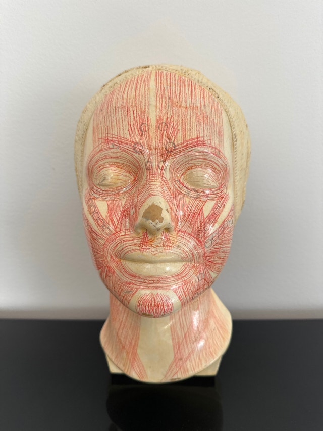 Vintage "Masque d'Étude" (Anatomical Study Mask), Simonne Laube
