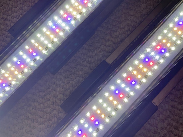 Led Light (Fluval)