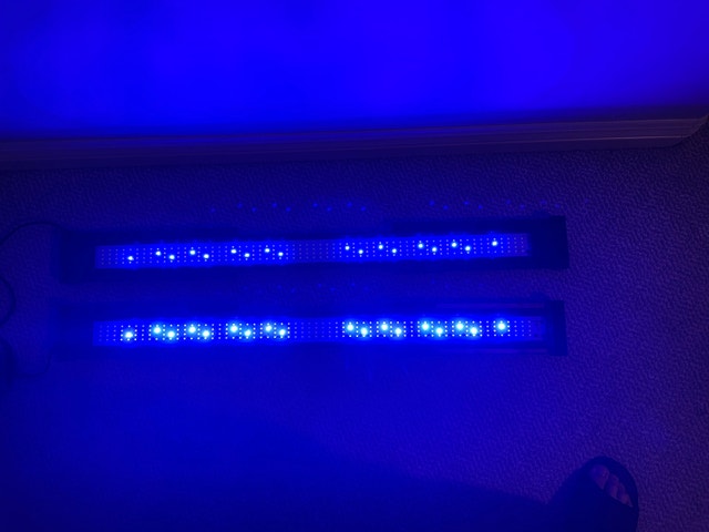 Led Light (Fluval) - photo 2