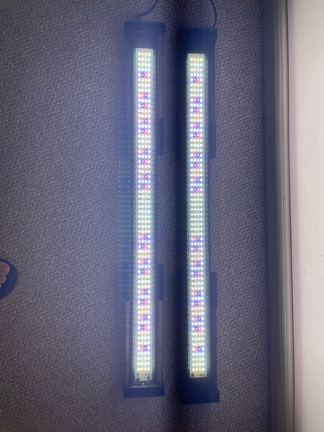 Led Light (Fluval) - photo 4