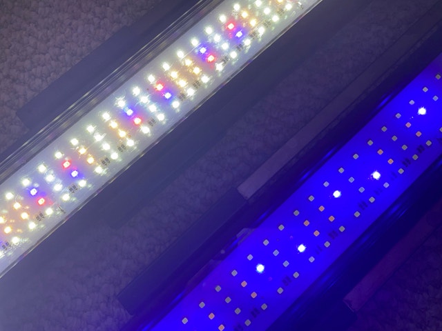 Led Light (Fluval) - photo 5