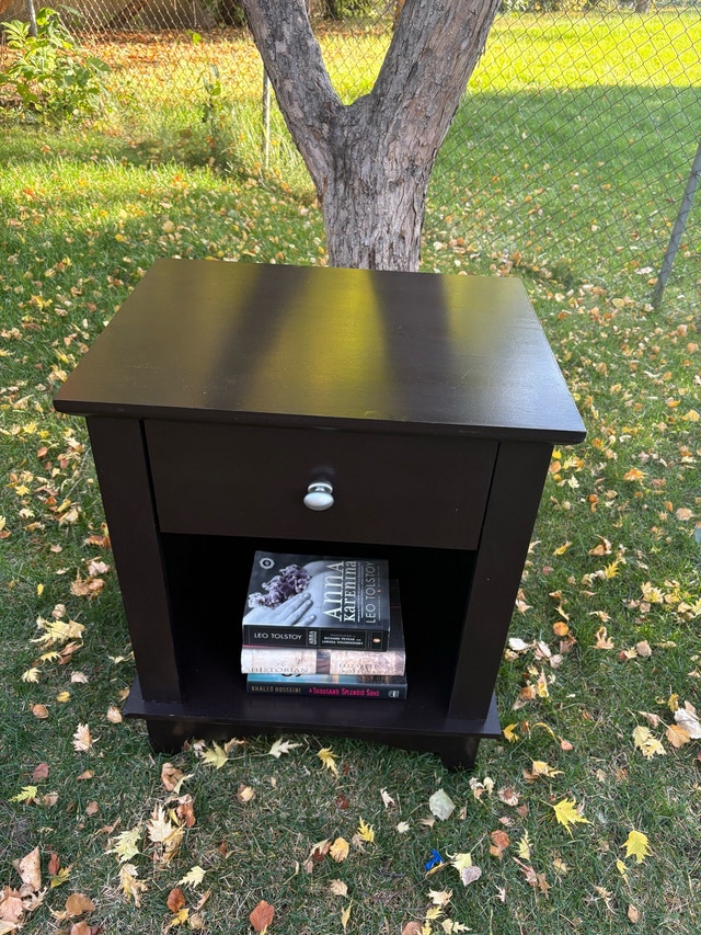 Beautiful hand painted night table