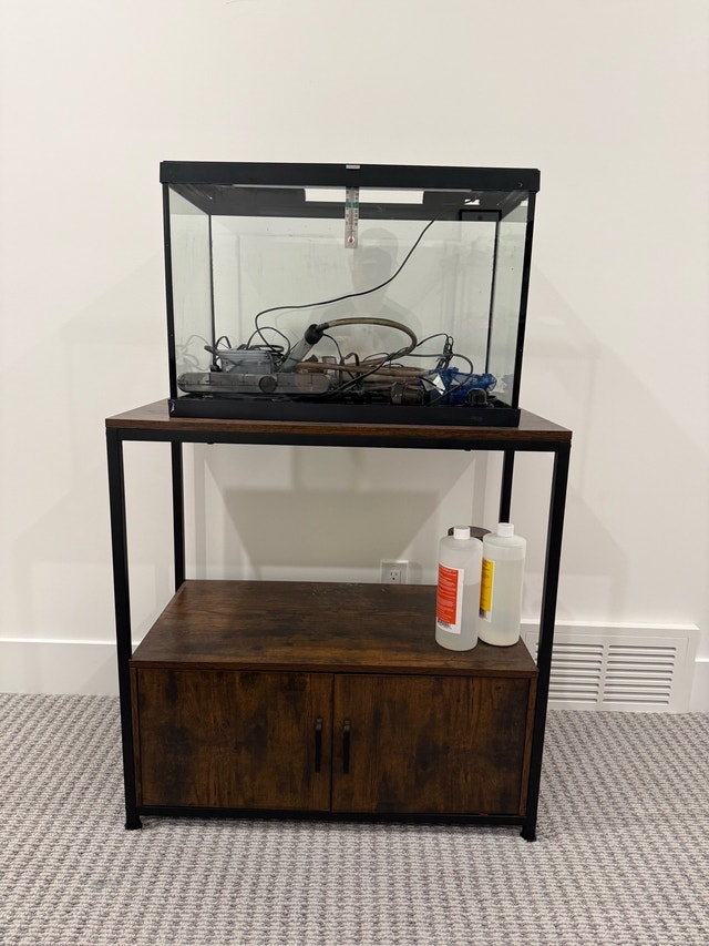 Fish tank and stand