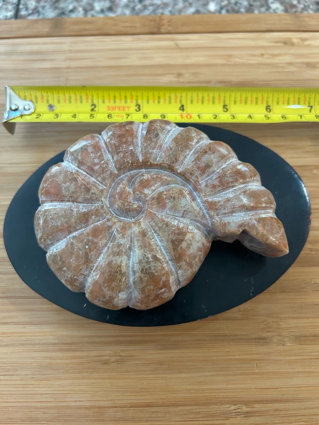 Handcrafted Ammonite Soapstone Ornament