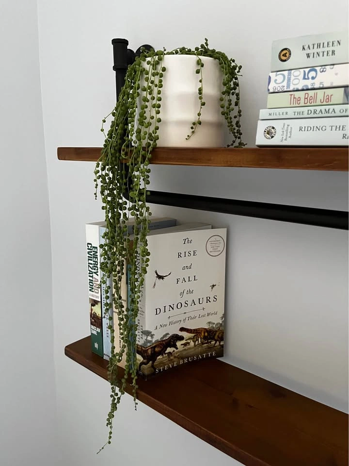 String of Pearls Succulent in White Ceramic Pot - photo 2