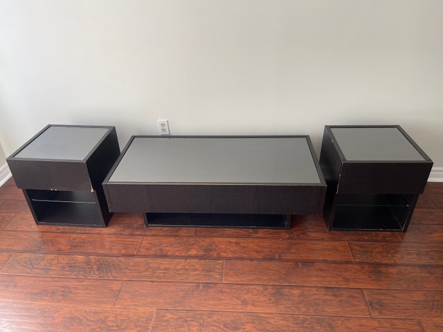 Moving Sale – Complete Living Room Set (Table, Stands & Lamps)