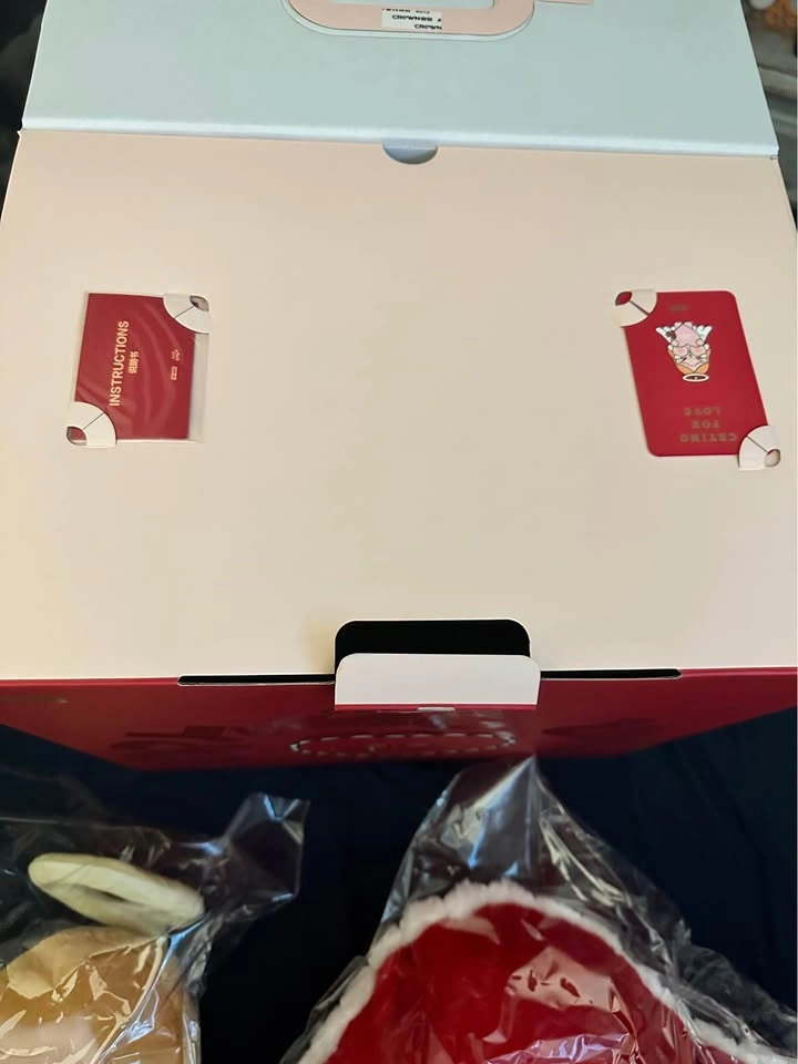 Pop Mart Crybaby Crying For Love Plush Gift Box - photo 2