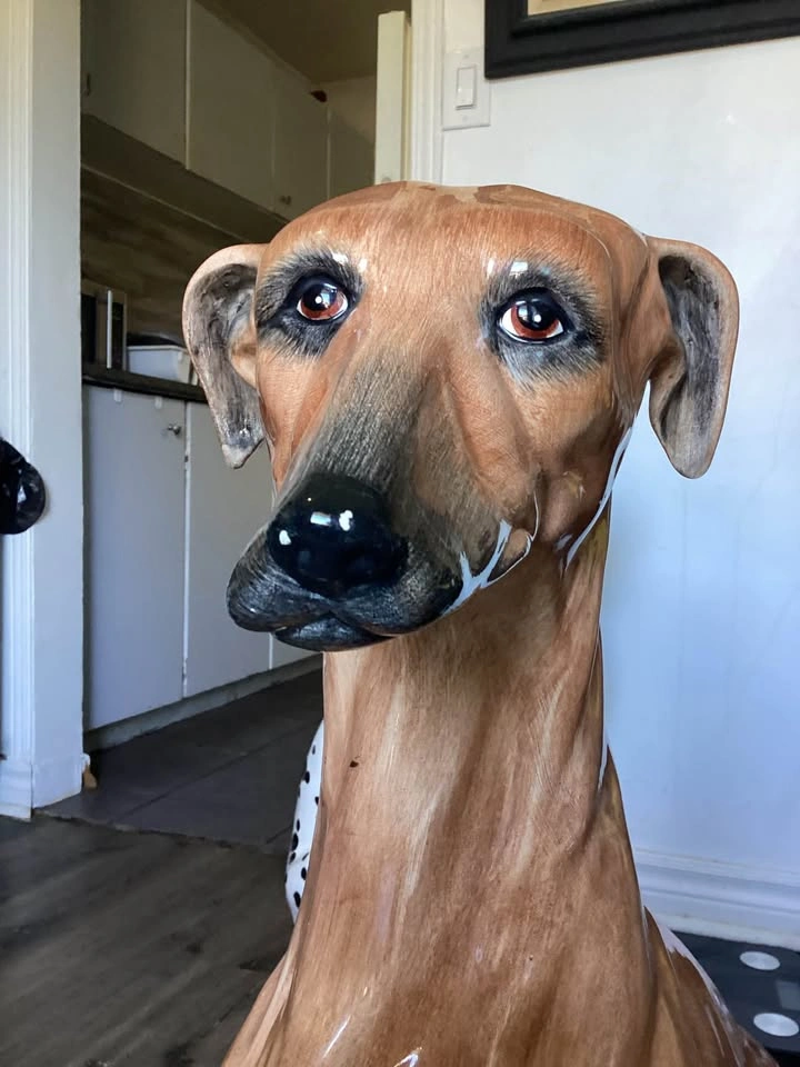 Vintage Mid-Century Italian Ceramic Greyhound Statue – 28" - photo 4
