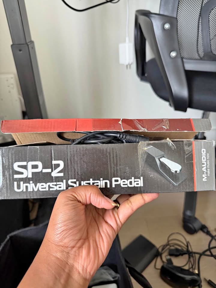 M-Audio SP-2 universal sustain pedal