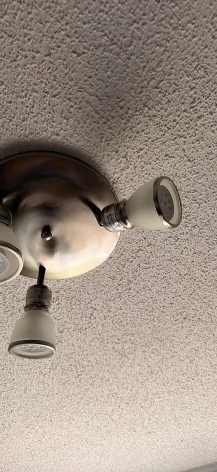 Galaxy Luna 2-Light Brushed Nickel Ceiling Light – Frosted Glass - photo 2