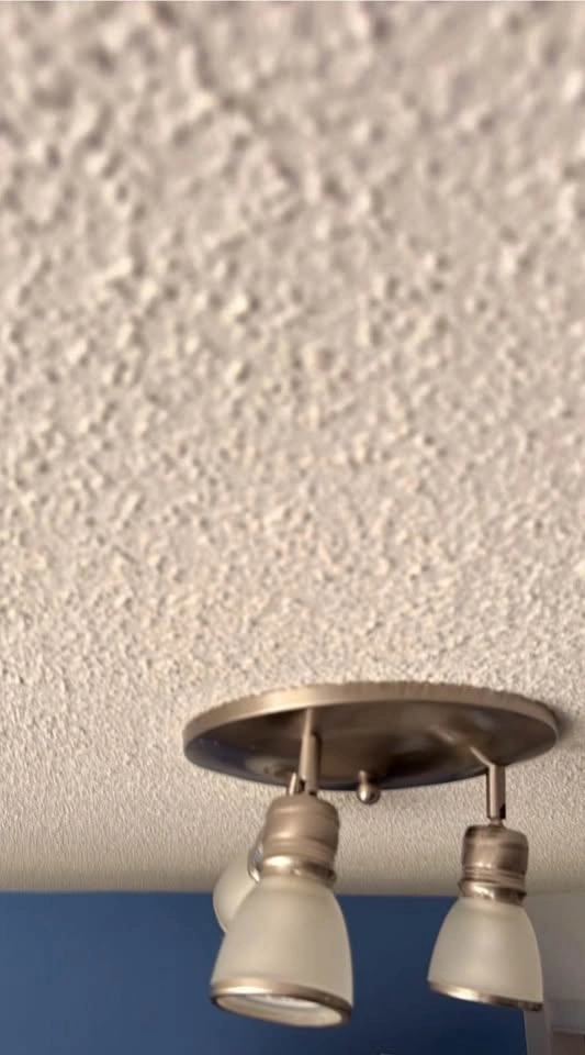 Galaxy Luna 2-Light Brushed Nickel Ceiling Light – Frosted Glass - photo 3