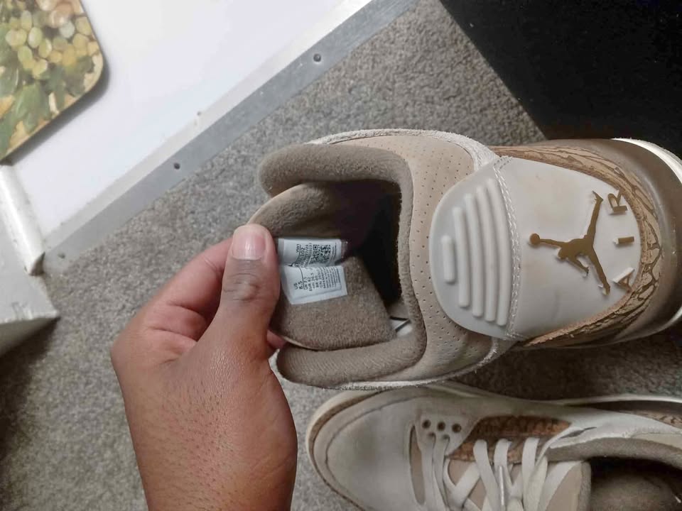 Jordan 3 palominos