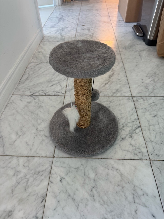 Cat Scratching Posts