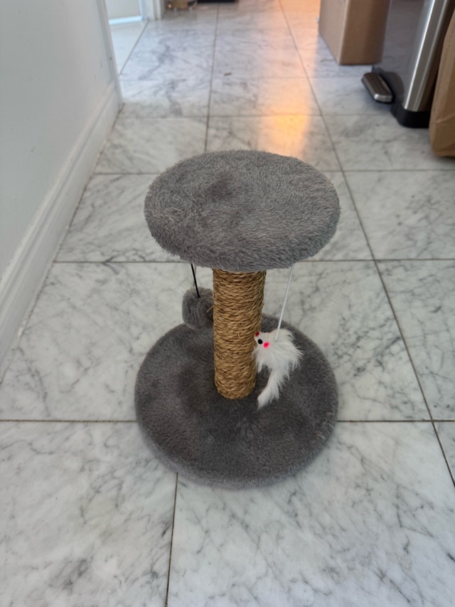 Cat Scratching Posts - photo 2