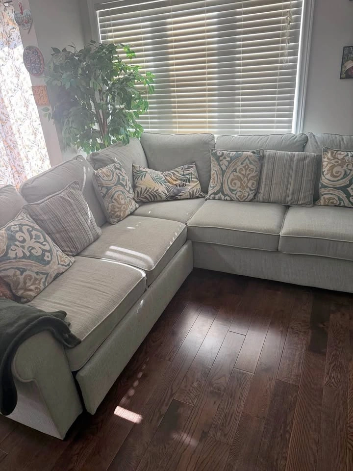 Scott Living Haven 2-Piece Sleeper Sectional Sofa Bed