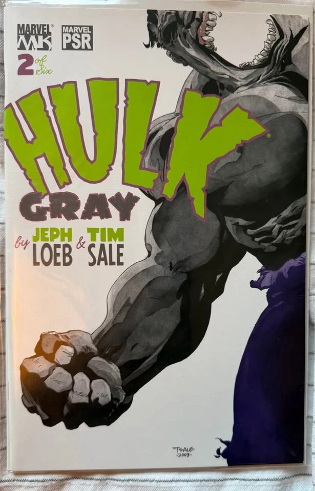 Hulk: Gray #1-6 Complete Miniseries - Jeph Loeb & Tim Sale - photo 2