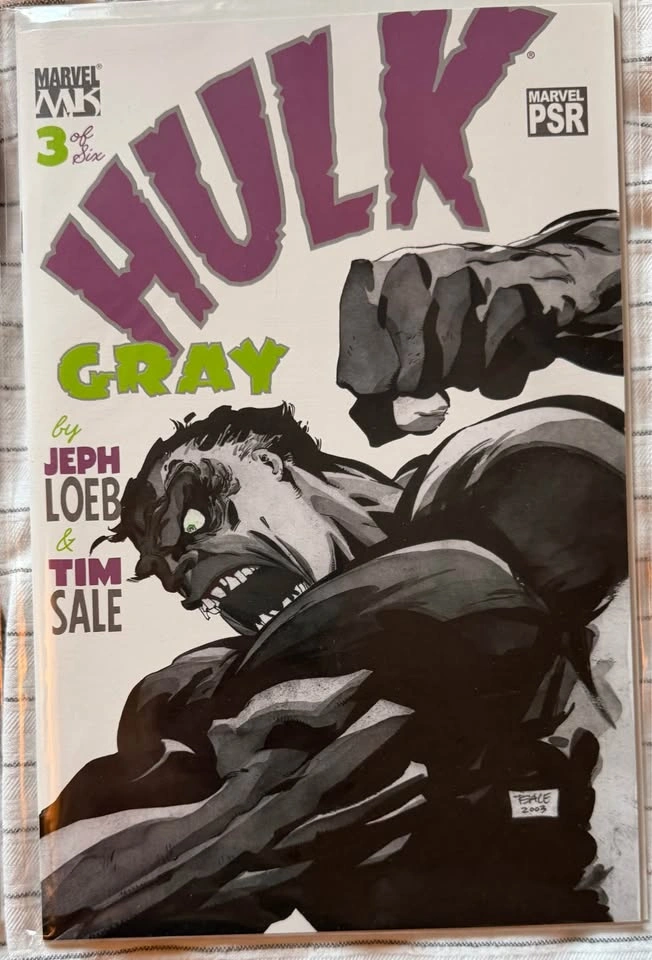 Hulk: Gray #1-6 Complete Miniseries - Jeph Loeb & Tim Sale - photo 3