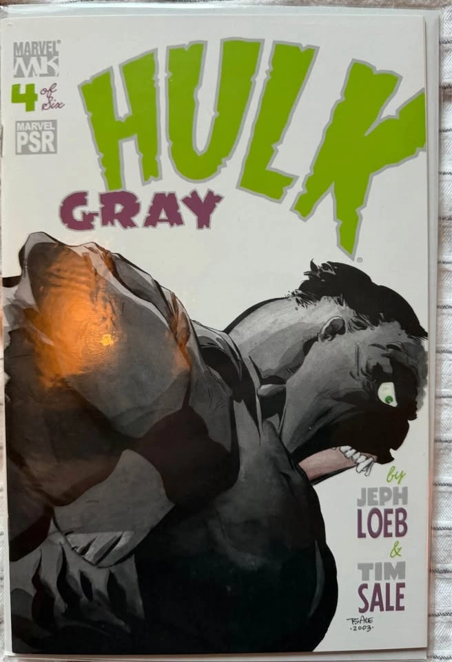 Hulk: Gray #1-6 Complete Miniseries - Jeph Loeb & Tim Sale - photo 4